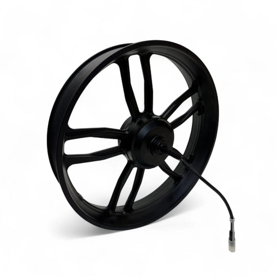 Motor 250W – (Nieuwe model) tweede foto