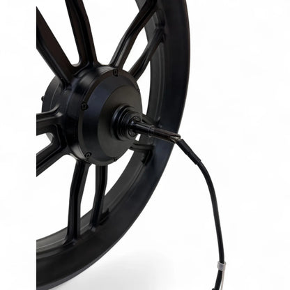 Motor 250W – (Nieuwe model)