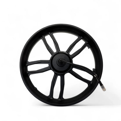 Motor 250W – (Nieuwe model)