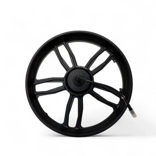 Motor 250W – (Nieuwe model)