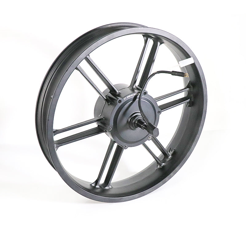 Upgrade Set – V20 / V20 Pro | Controller 45 km/u + Motor 500-750W + H6C Display