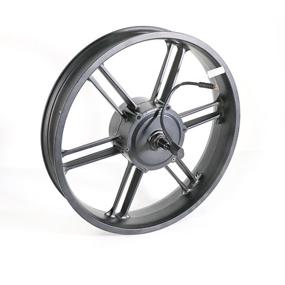 Upgrade Set – V20 / V20 Pro | Controller 45 km/u + Motor 500-750W + H6C Display